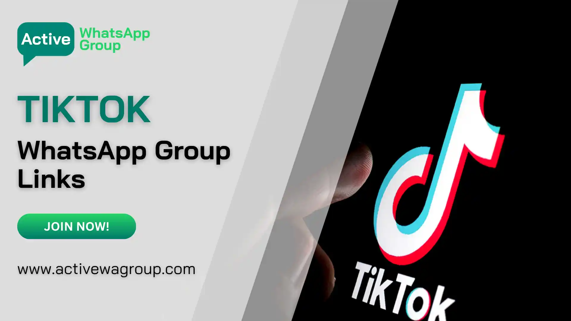 TikTok WhatsApp Group Links